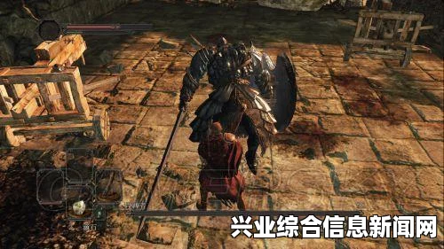 黑暗之魂2原罪学者 详细白金心得与原罪学者的体验