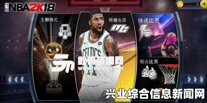 NBA 2K15 杜兰特界面闪退解决方案与应对策略