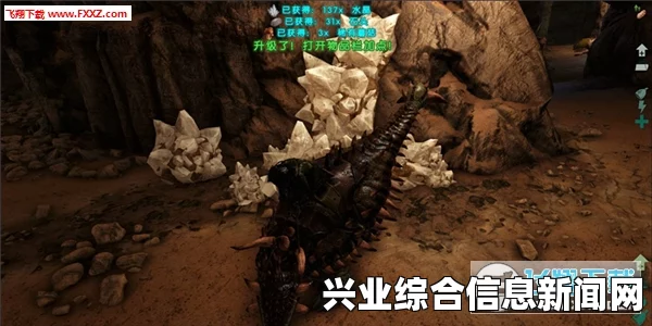 方舟生存进化基础玩法心得分享与新手攻略指南