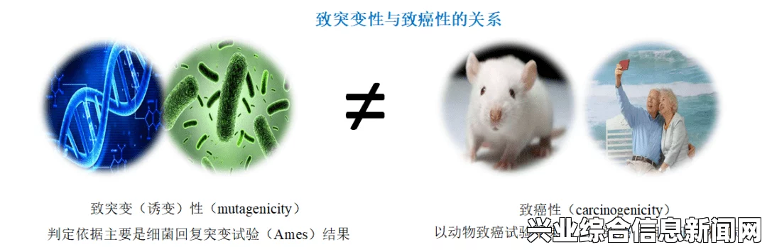 突变诱发物的概述