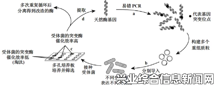突变诱发物的概述