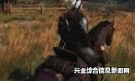 巫师世界极致体验，马匹装备全修改MOD与骑兵装备深度探索