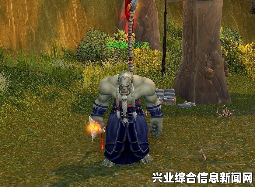 任务流程详解，步骤与操作指南