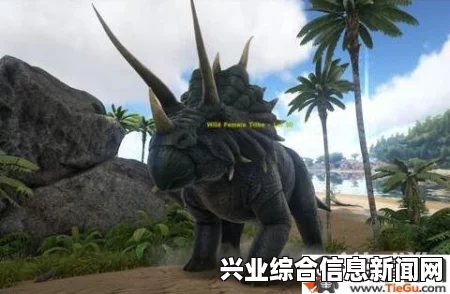 坐骑召唤修改代码