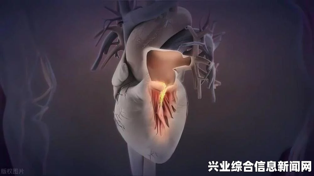 死亡设定的核心机制