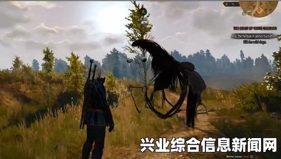 巫师3狂猎BUG大揭秘，奇葩问题视频合辑