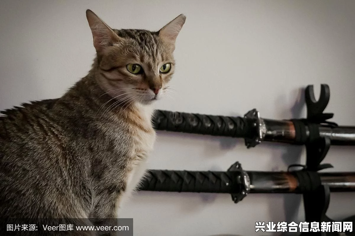 猫派剑术流简介