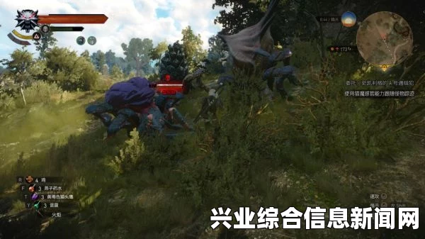 巫师3狂猎，无限刷23级重甲蟹蜘蛛攻略
