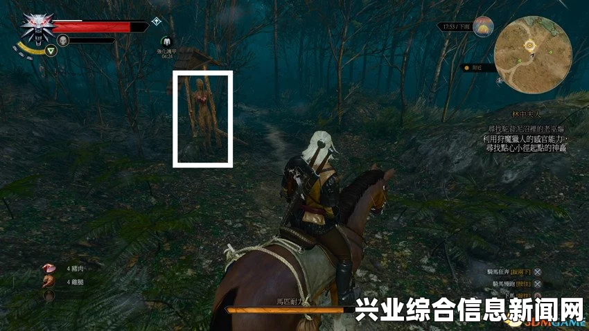 关于巫师3狂猎中的林中夫人书位置