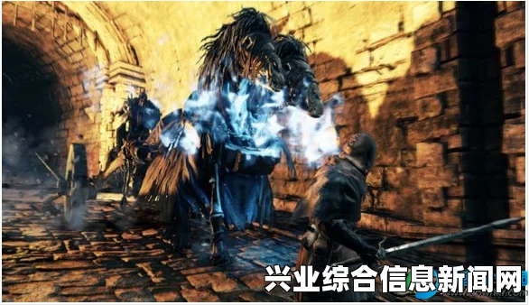 黑暗之魂2原罪学者DLC沉没之王的皇冠战斗技巧心得