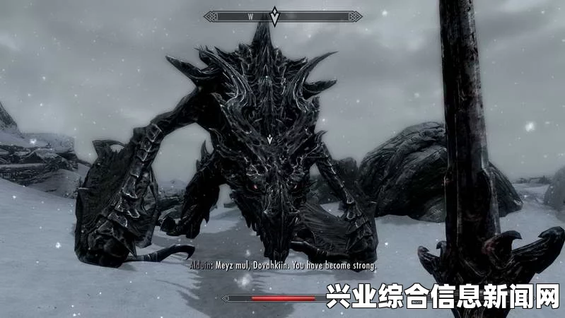 上古卷轴5，Dragon Slayer Mod Team NPC任意换装MOD