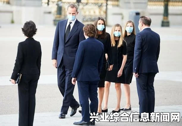 国王衣服的概述
