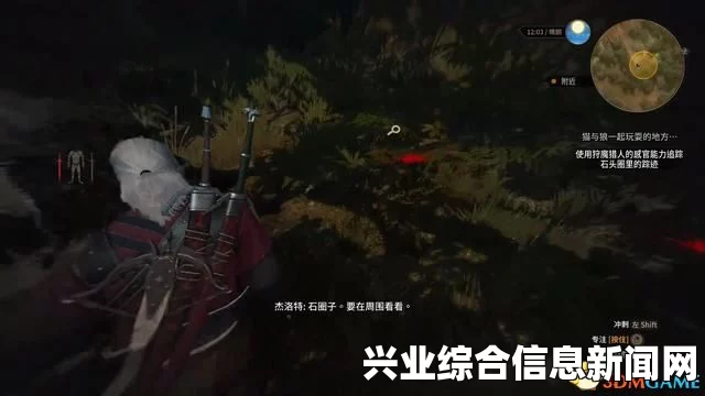 巫师3狂猎威伦支线任务概述