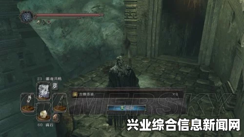 黑暗之魂2原罪学者DLC淹没之王的王冠boss心得分享