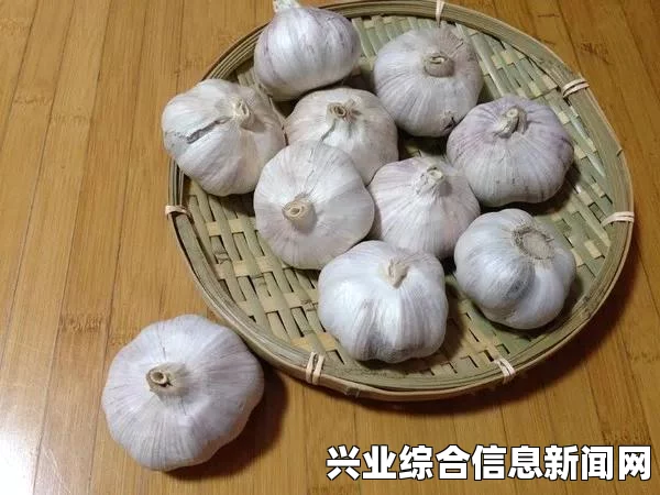 攻略开始