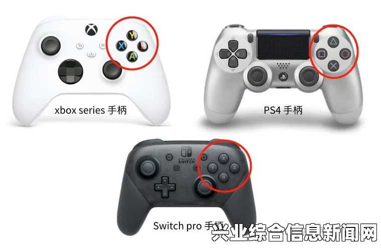 选择适合的手柄