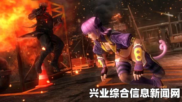 死或生5最后一战 全角色双人组队战斗语音视频