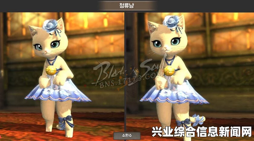 猫之套装的概述