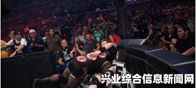 WWE 2K15 锁技失效应对策略及解决指南