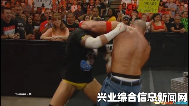 WWE2K15 锁技无效解决方法及应对指南