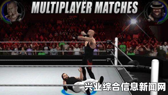 WWE2K15 锁技无效解决方法及应对指南