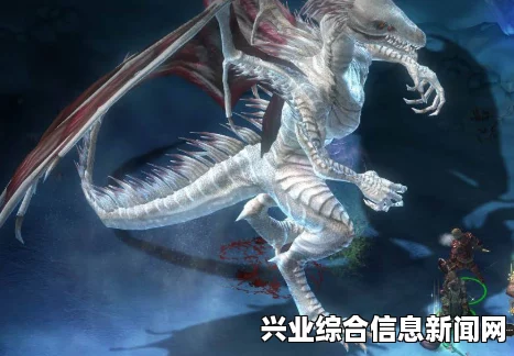 永恒之柱Adra龙挑战攻略心得，探索无尽之路