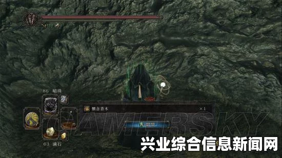 黑暗之魂2原罪学者，蜘蛛公爵远近结合打法心得分享