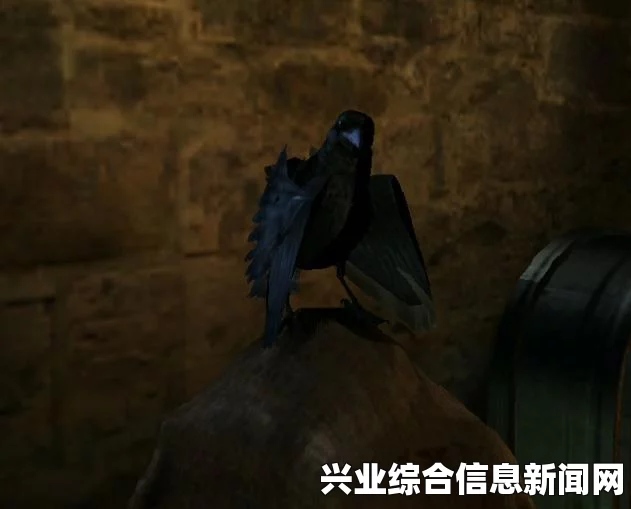 揭秘水晶乌鸦头部的所在位置