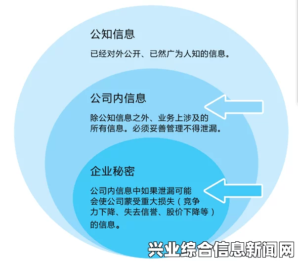 隐形公司的概述