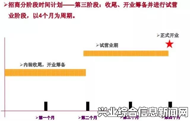 揭秘隐形公司运营策略，深度解析商业策略与运营技巧介绍