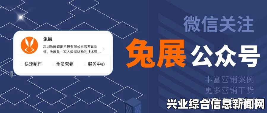 隐形公司玩法介绍，探索商业策略与运营技巧