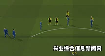 足球经理2015德甲灰人去除攻略详解，灰人如何处理？