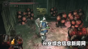 黑暗之魂2原罪学者圣壁之连弩获得方法及打怪掉落攻略