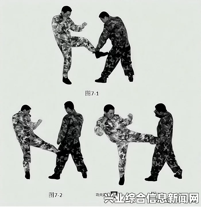 普通招式的奥秘与运用之道
