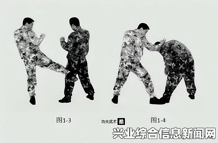 普通招式