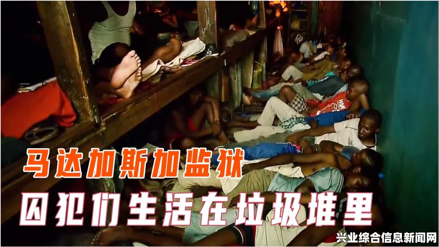 如何正确关押囚犯，探究监狱管理之道