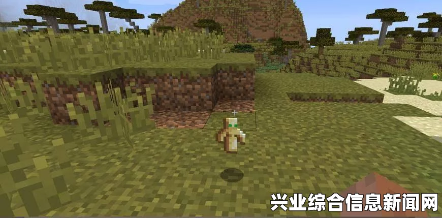 暗黑破坏神3国服普通物品掉落机制及战利品获取地点解析