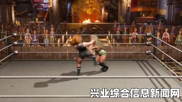 WWE 2K15卡顿与慢动作问题解决方案，轻松解决游戏卡顿烦恼