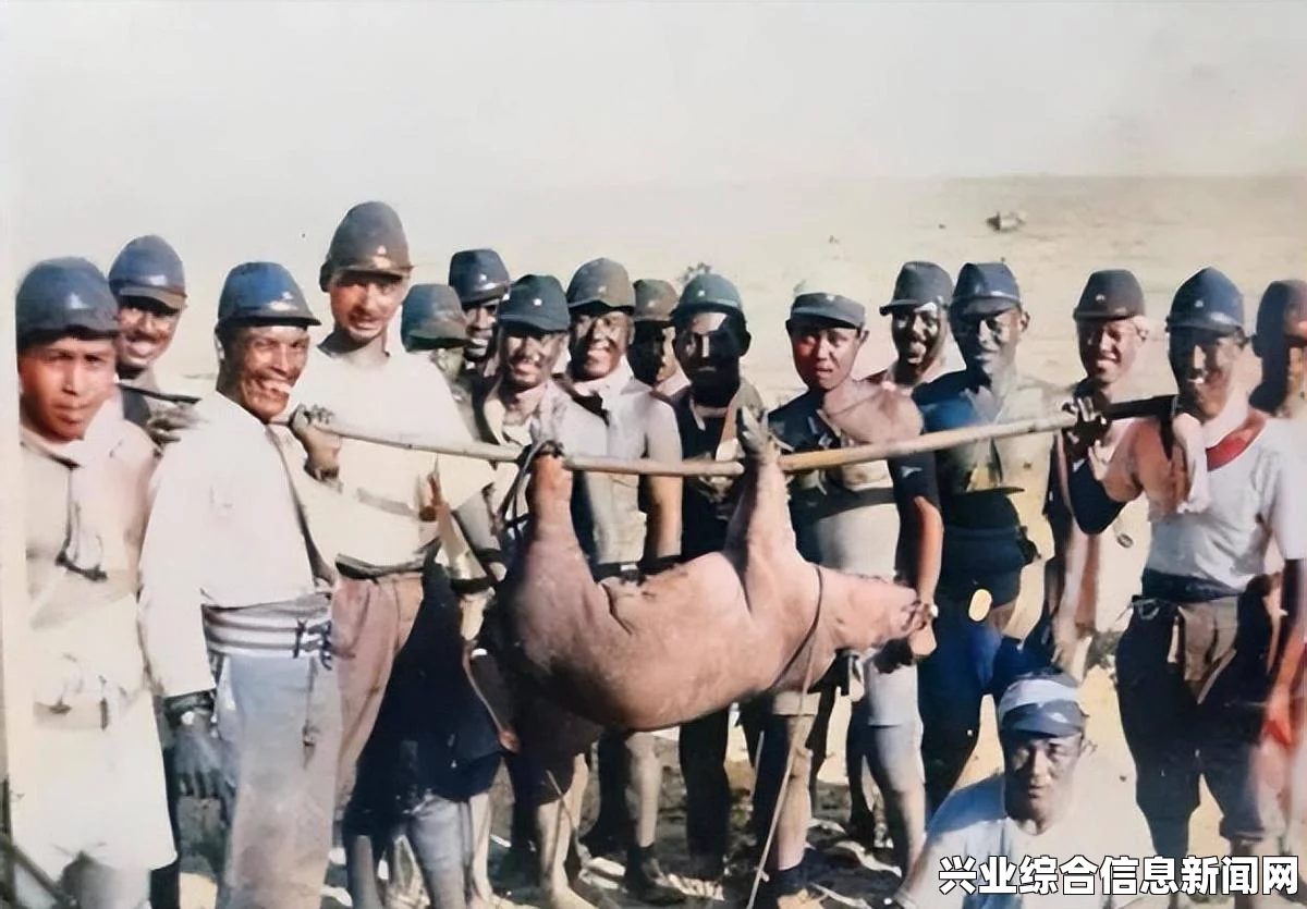 地上战争按键操作解析攻略分享，如何应对按键操作挑战